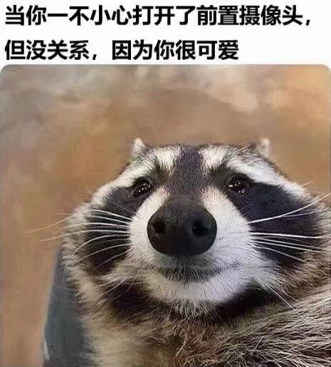 沙雕