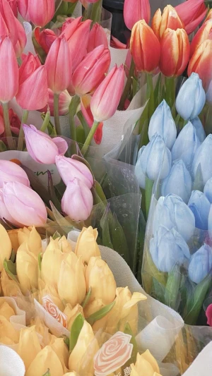 花束壁纸 堆糖 美图壁纸兴趣社区