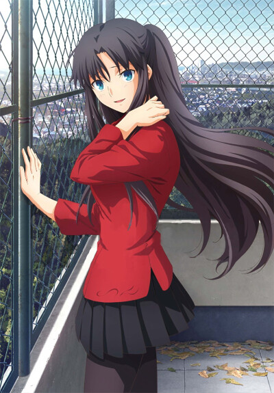 剧场版动画《Fate/stay night: Heaven's Feel III. spring song》BD/DVD 彩绘