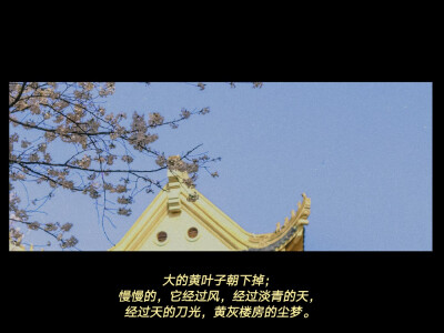 张爱玲/梁晓声/黄庭坚