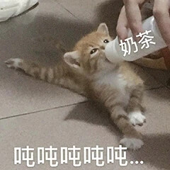 表情包