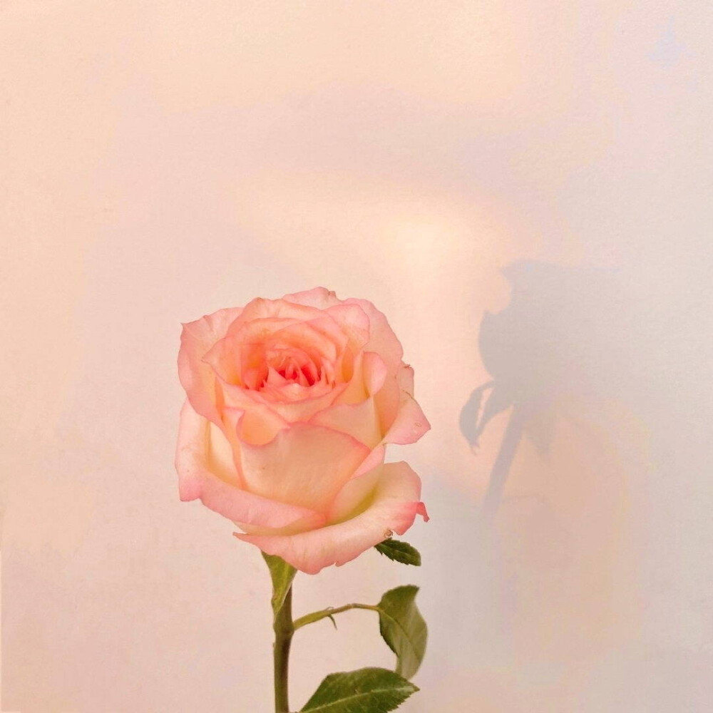 ʸᵒᵘ ᵃʳᵉ ᵗʰᵉ ᵐᵒᵒⁿ ᴵ ˡᵒᵒᵏ ᵘᵖ ᵃᵗ ⁱⁿ ᵗʰᵉ ᵃᵇʸˢˢ.
你是我在深渊之中仰望的月亮。 ​​​
cr：春山青野