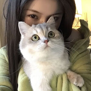 猫咪和美女头像 - 高清图片,堆糖,美图壁纸兴趣社区