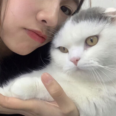 猫咪与美女