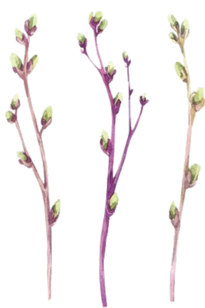 png免抠手帐素材