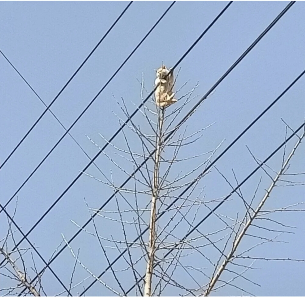 情侣头像 搞怪