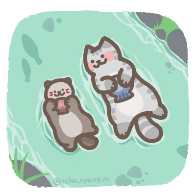 图源ins：ccho_nyang