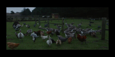 Nomadland
无依之地