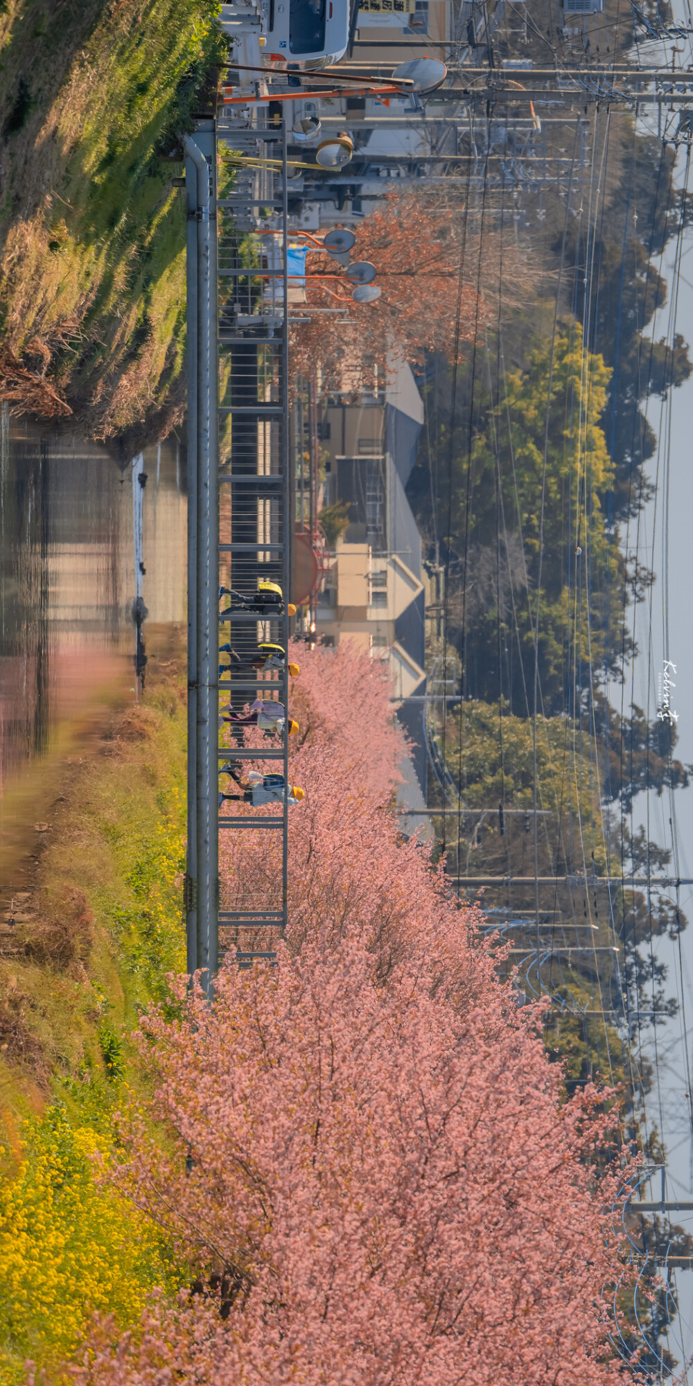 待到山花烂漫时
摄影: kelvin李