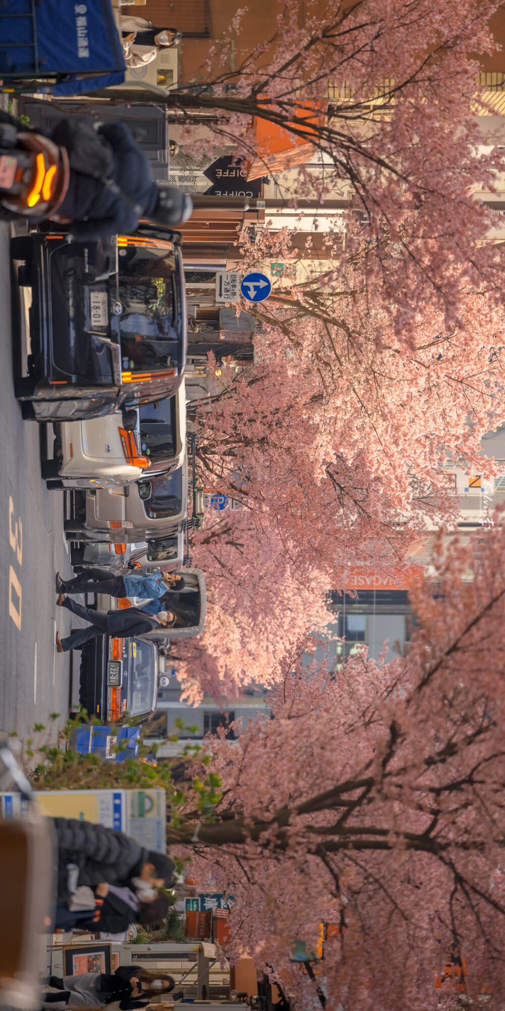 待到山花烂漫时
摄影: kelvin李