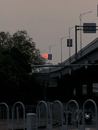 一抬眼，就被惊艳
像一个在角落沉默注视一切的大地之主