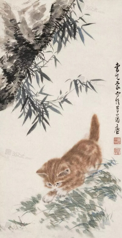 国画中的猫猫温柔可人