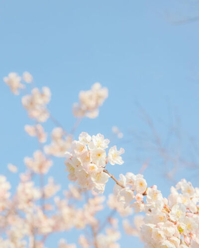 我遇见你的那天，春天刚好到来♡