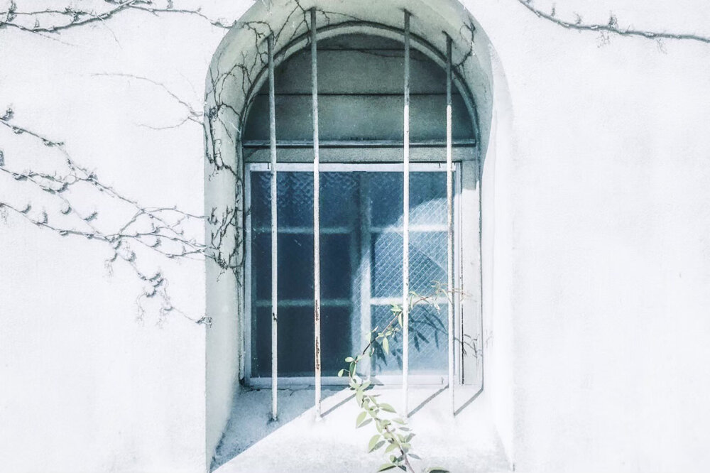 生命的消长本来就是细微琐碎的积累