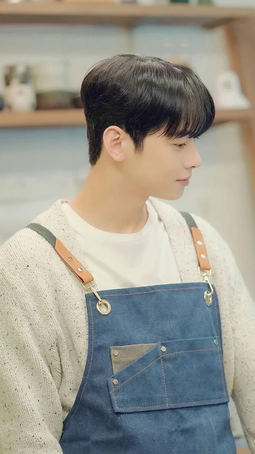 漫画王子车银优