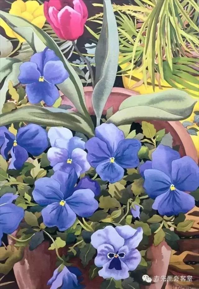 克里斯托弗Ryland是一位英国绘画艺术家，最擅长水彩花卉的描写。
