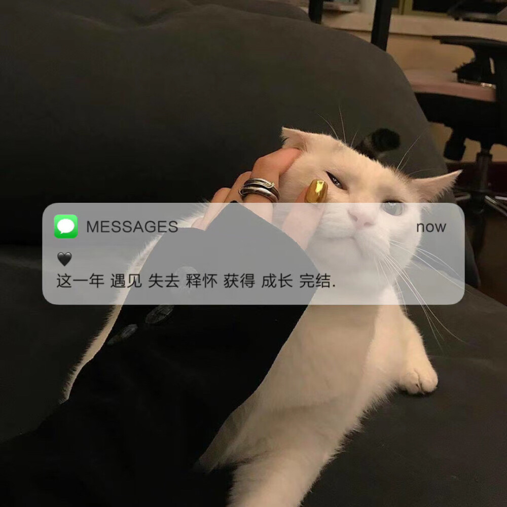 Messages文案 | 朋友圈背景图