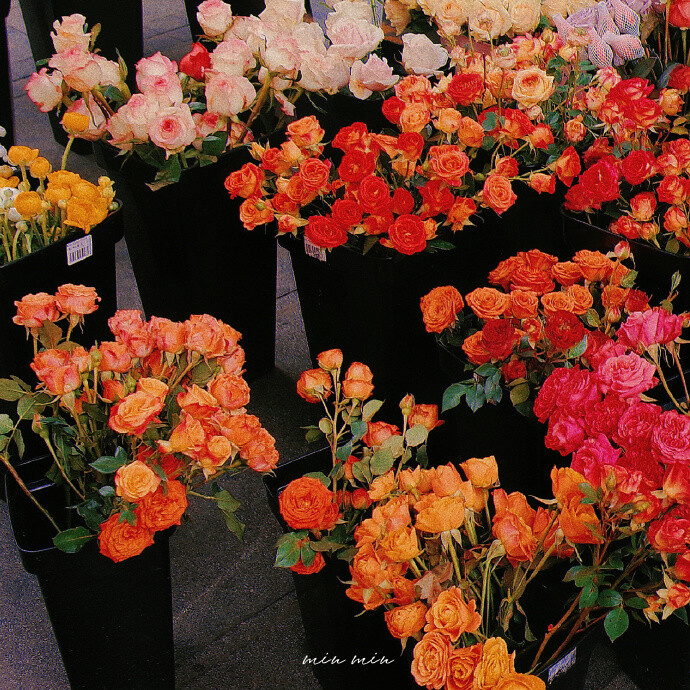 ᵂʰᵉⁿ ʸᵒᵘ'ʳᵉ ⁱⁿ ᵃ ᵇᵃᵈ ᵐᵒᵒᵈ, ᵍᵒ ᵗᵒ ᵗʰᵉ ˢᵘᵖᵉʳᵐᵃʳᵏᵉᵗ ᵗᵒ ʰᵉᵃʳ ᵗʰᵉ ᵍᵒᵒᵈ ⁿᵉʷˢ .
心情不好就去超市听好消息。