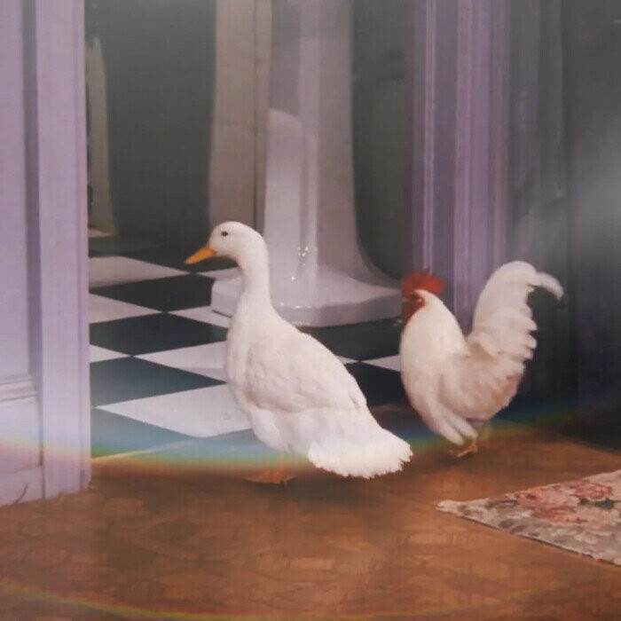 独一无二的美丽