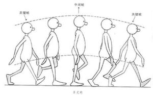 人体动作分解图