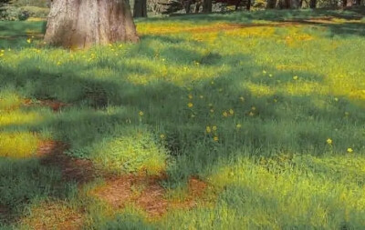 壁纸/
凌晨四点钟，我看见海棠花未眠。总觉得这时，你应该在我身边。
