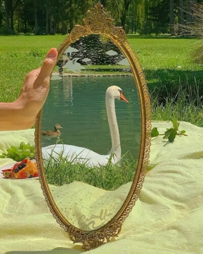 壁纸/
凌晨四点钟，我看见海棠花未眠。总觉得这时，你应该在我身边。
