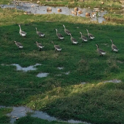 壁纸/
凌晨四点钟，我看见海棠花未眠。总觉得这时，你应该在我身边。
