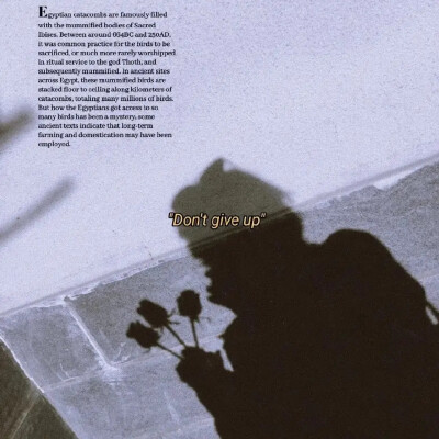 壁纸/
我一直想从你的窗子看月亮。