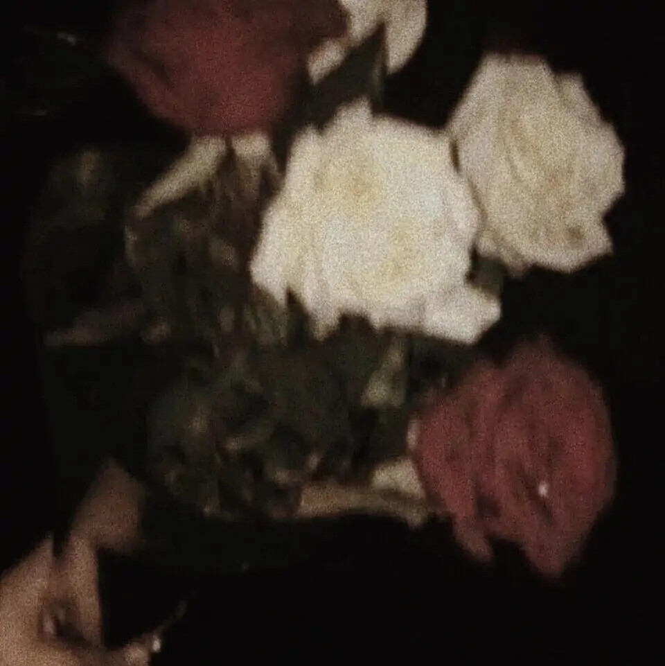 壁纸/
我一直想从你的窗子看月亮。