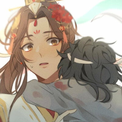 天官赐福 花城 谢怜 花怜 