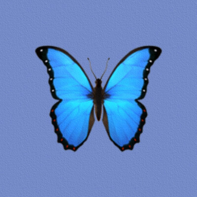 原创emoji背景图(第一次搞，不要喷哈)