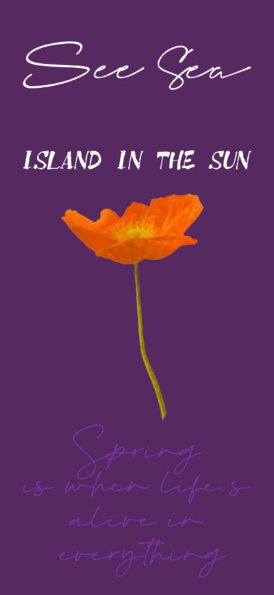 原创紫色系壁纸♡