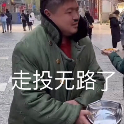 龙丽表情包