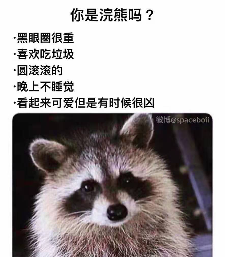 是（最后一条除外）