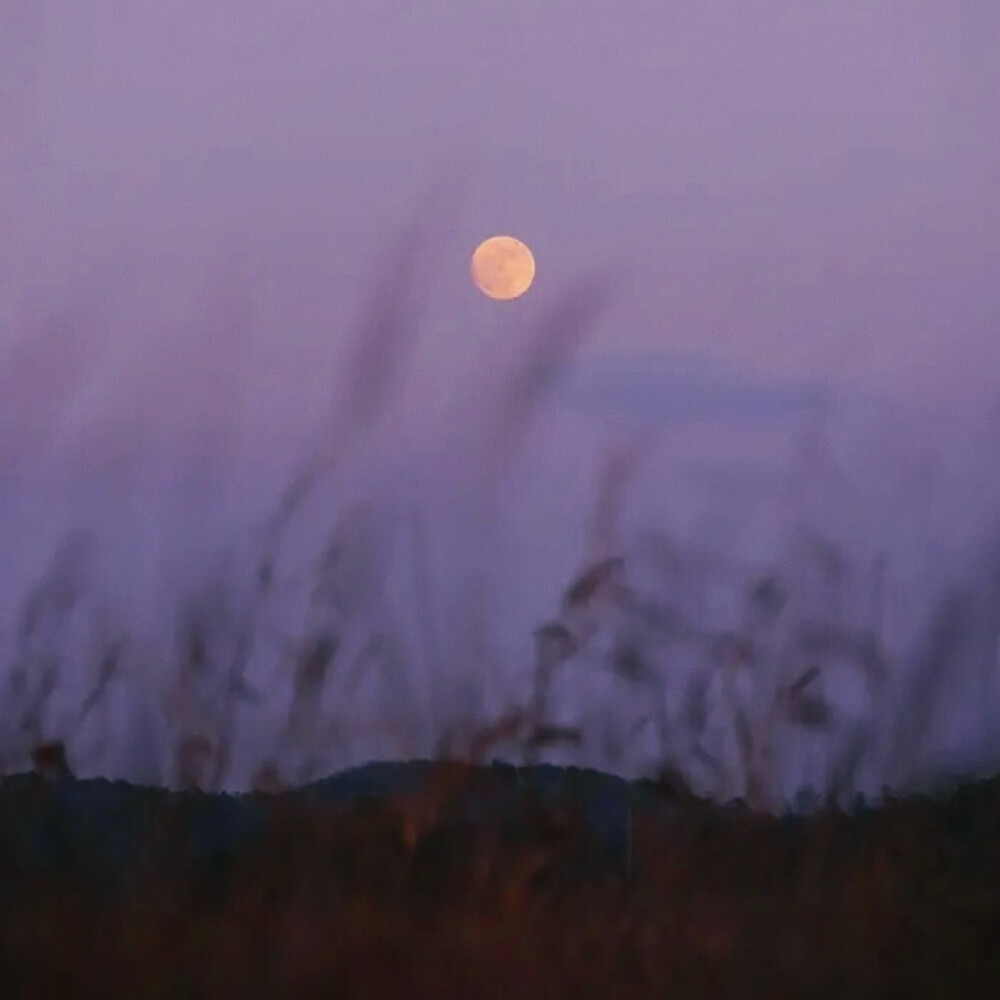 Rosie朴彩英套图可二改，二改收专