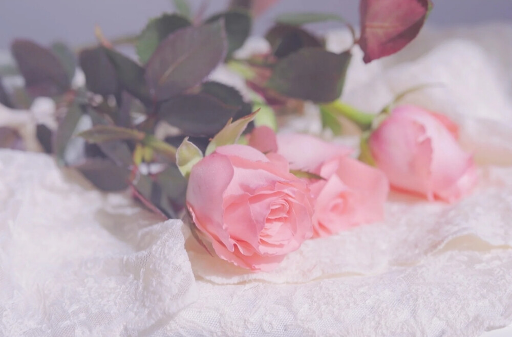 因为你要做一朵花才会觉得春天离开你如果你是春天就没有离开就永远有