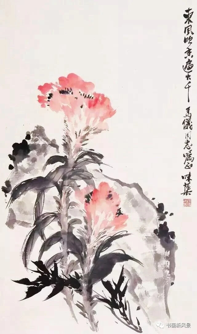 鸡冠花