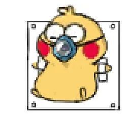 鹦鹉兄弟表情包