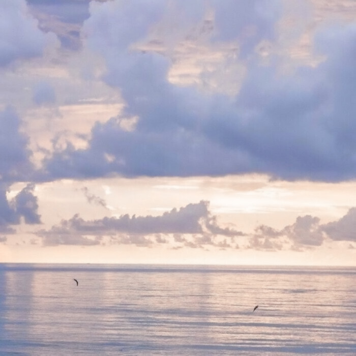 名井南－
原唱辑//