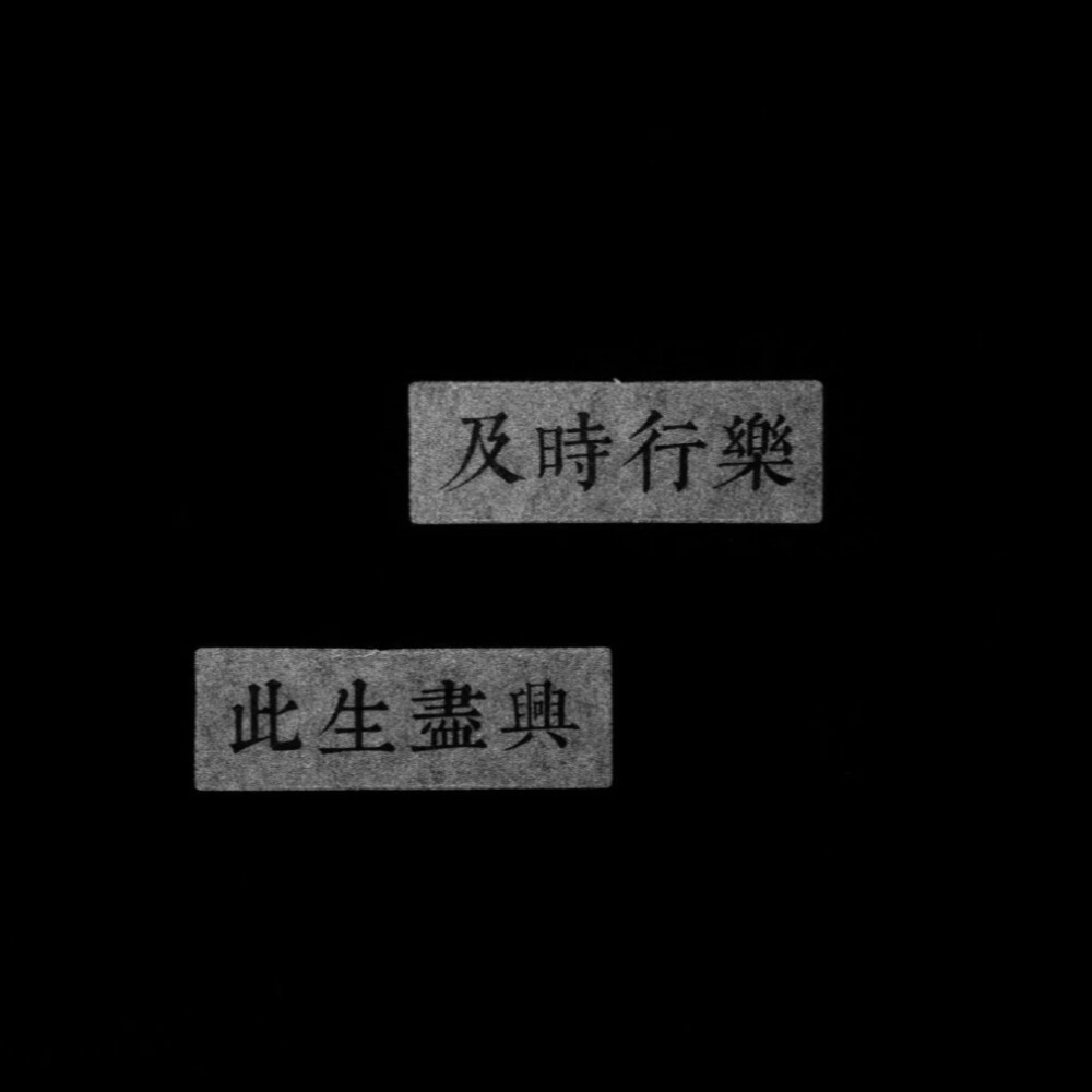 路灯几盏点亮 点不亮我的心脏
