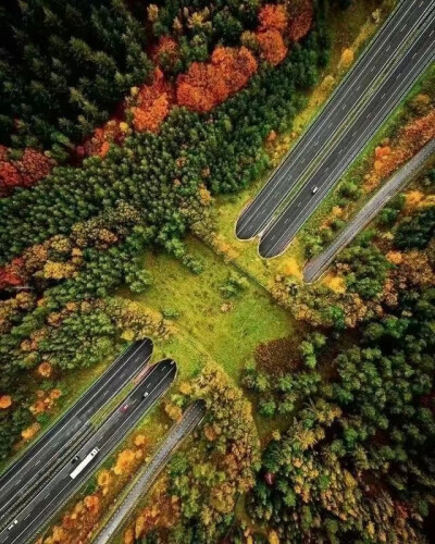 ——
荷兰一座横跨高速公路的动物过境桥