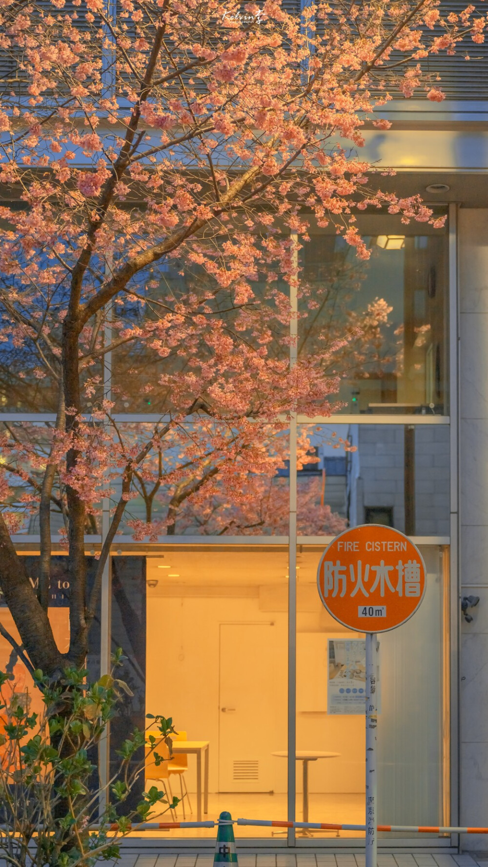 听山海在耳边吵嘴 你倾慕山与水
也美不过我半生无悔
摄影: kelvin李 