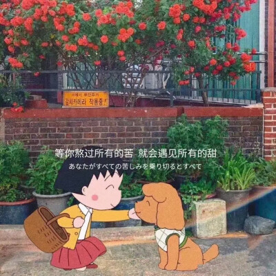 浅喜似苍狗，深爱如长风。