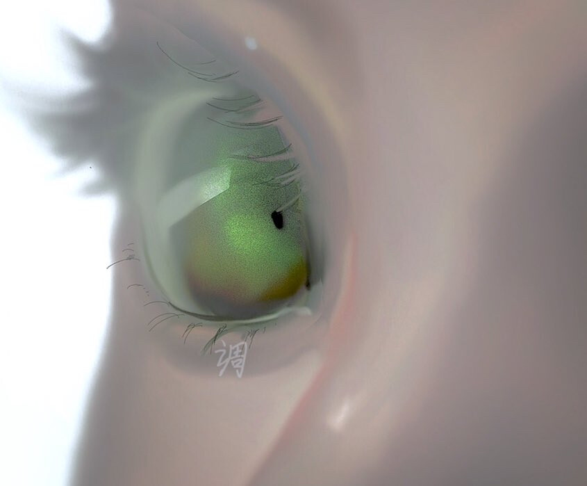 eye