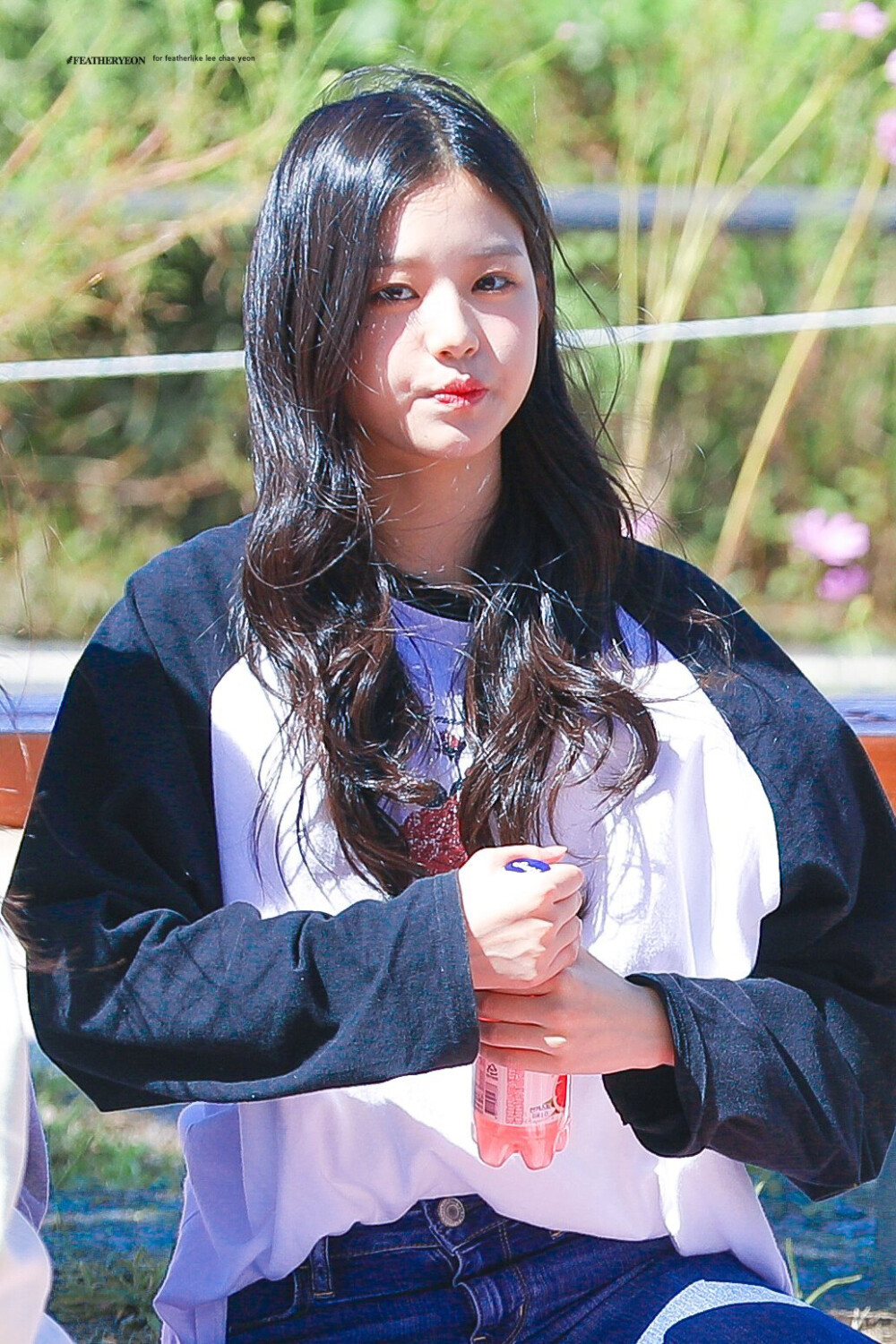 izone 张元英 安宥真