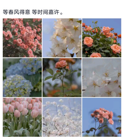 美文集 ❤️ 截屏