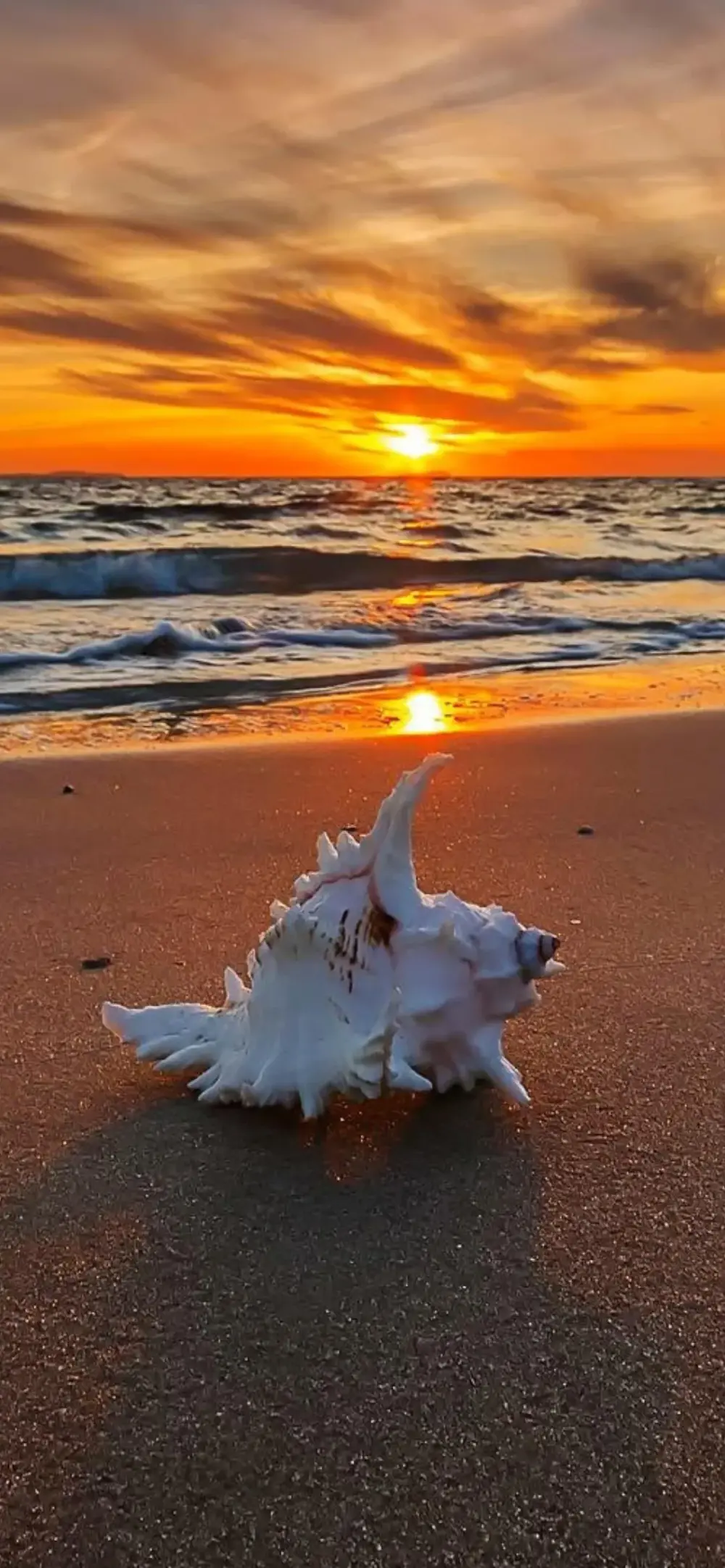 夕阳风景壁纸