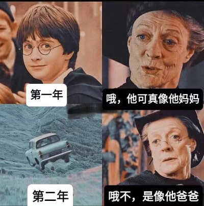 一些霍格沃兹meme