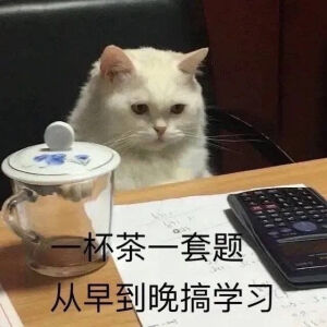 表情