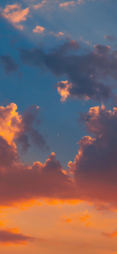 壁纸
图源网络 侵删